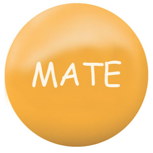 ME88 - Antistressbälle - 1355c